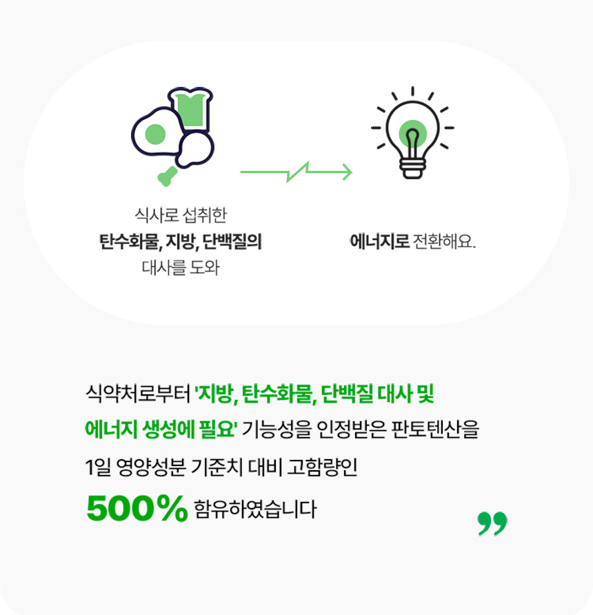 판토텐산 기능