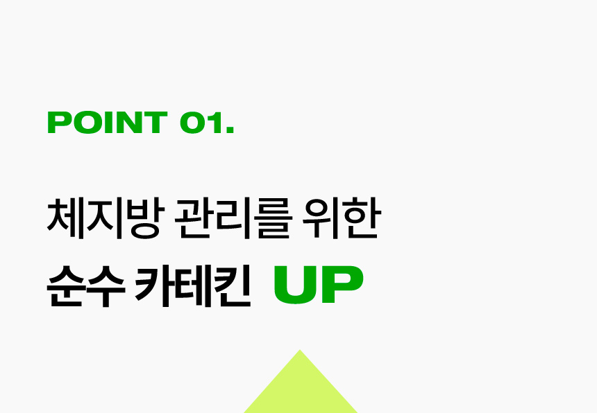 POINT 01. 체지방 관리를 위한 순수 카테킨  UP