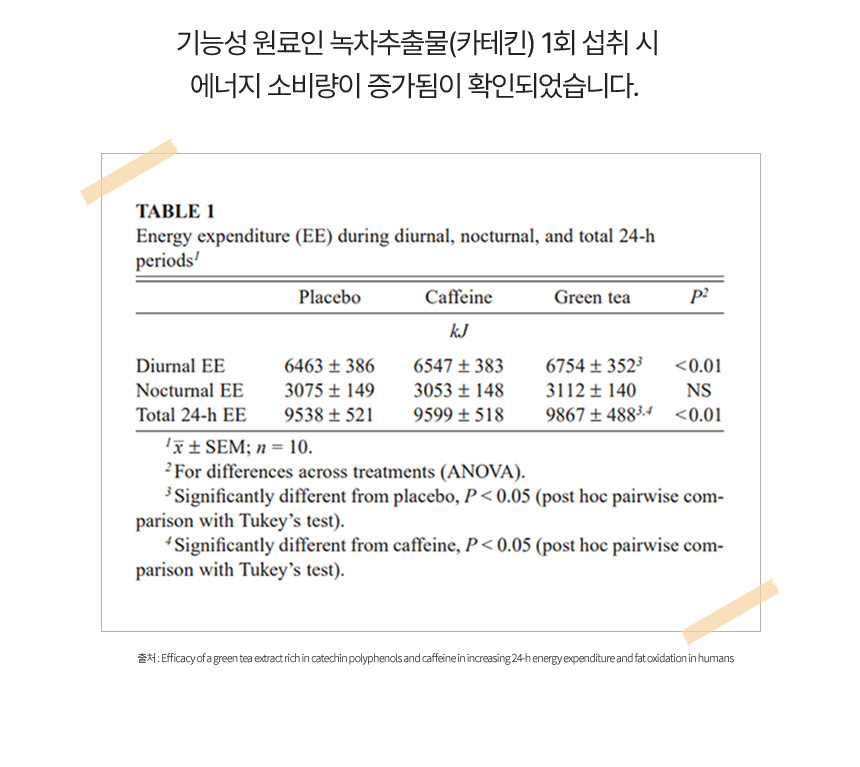 녹차 추출물(카테킨) 인체적용시험