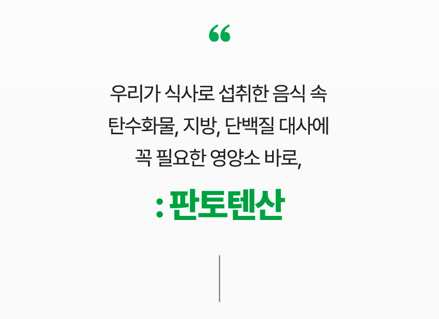 우리가 식사로 섭취한 음식 속 탄수화물, 지방, 단백질 대사에 꼭 필요한 영양소 바로,: 판토텐산