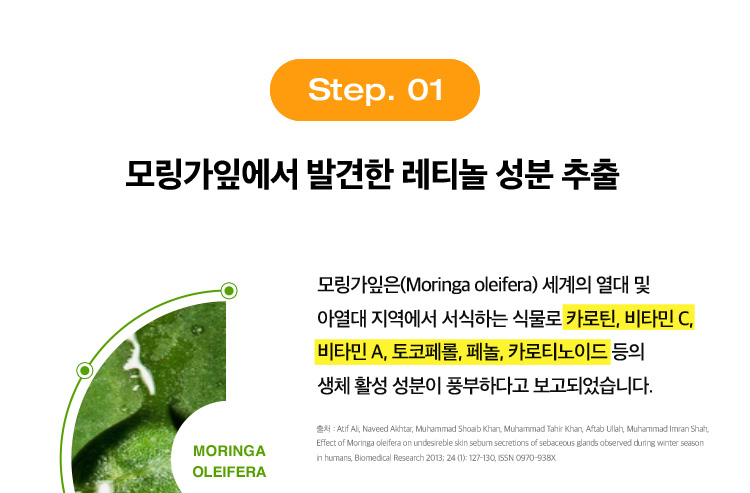 Step. 01 모링가잎에서 발견한 레티놀 성분 추출